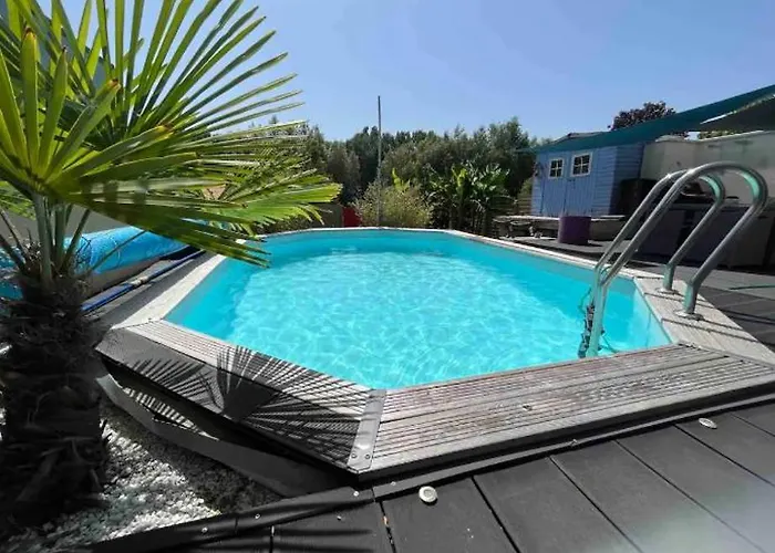 24h Du Mans Ou Jeux Olympiques Le Mans