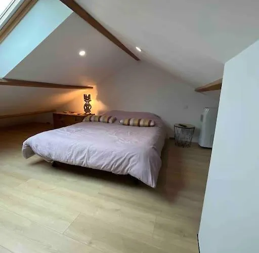 24h Du Mans Ou Jeux Olympiques Le Mans