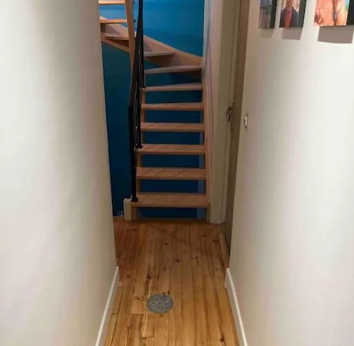 24h Du Mans Ou Jeux Olympiques * Le Mans