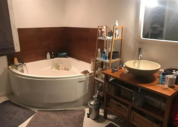 Willa 24h Du Mans Ou Jeux Olympiques