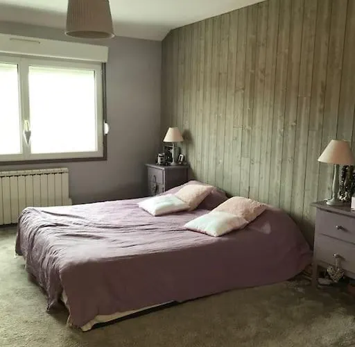 Willa 24h Du Mans Ou Jeux Olympiques Le Mans